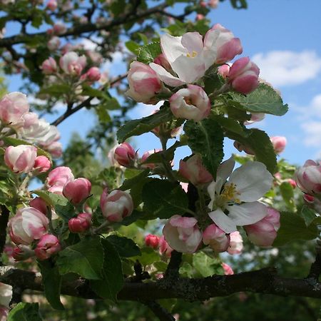 Gaestrum Gnottnehult Osterbymo Екстериор снимка