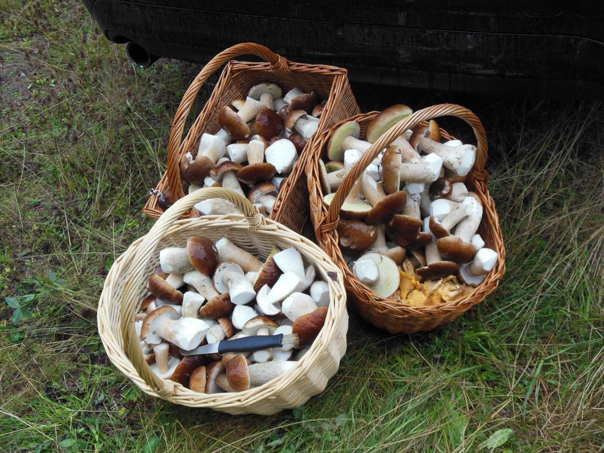 Gaestrum Gnottnehult Osterbymo Екстериор снимка